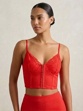 Wild Cat Red Lace Bustier Crop Top – Size L – Hook Front Corset Style